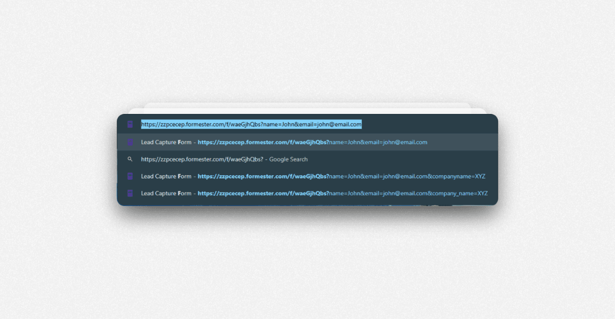 a screenshot of custom url parameters