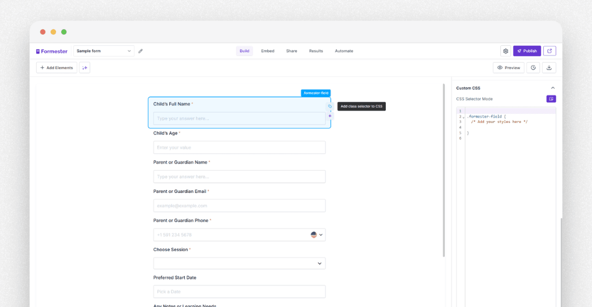 a screenshot of Formester's css script editor