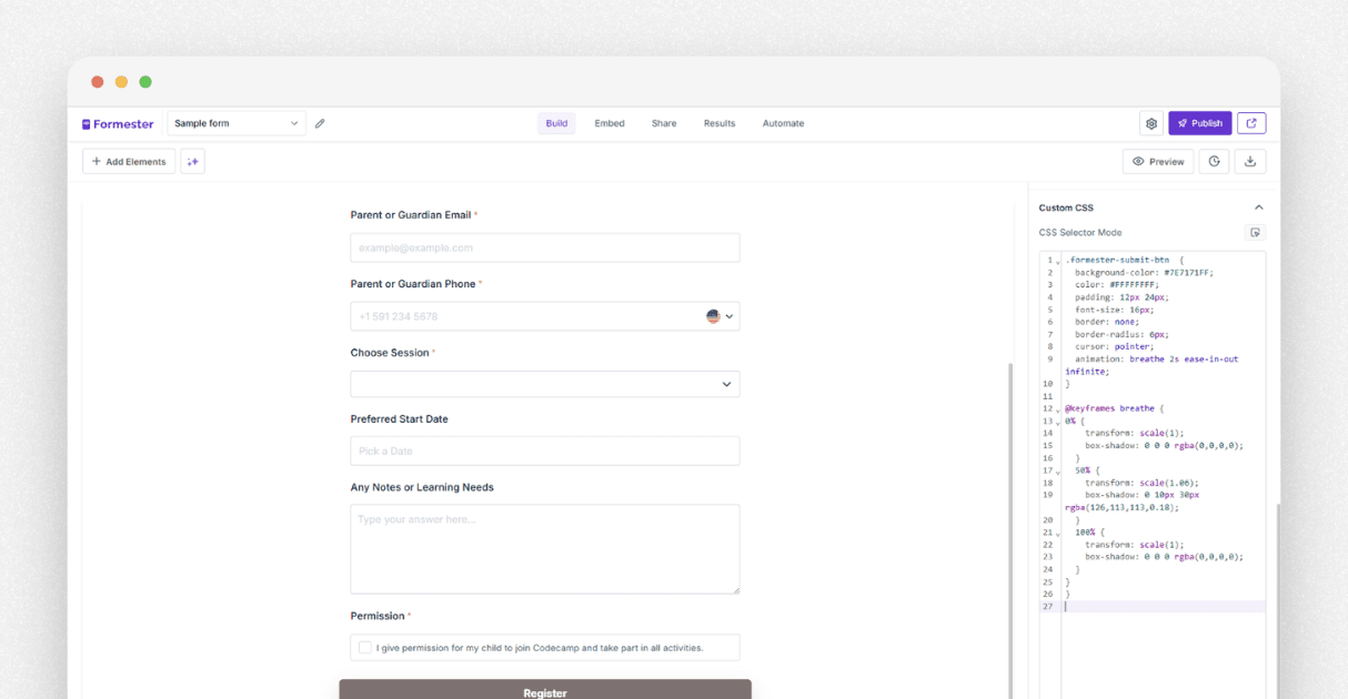 a screenshot of Formester's css script editor