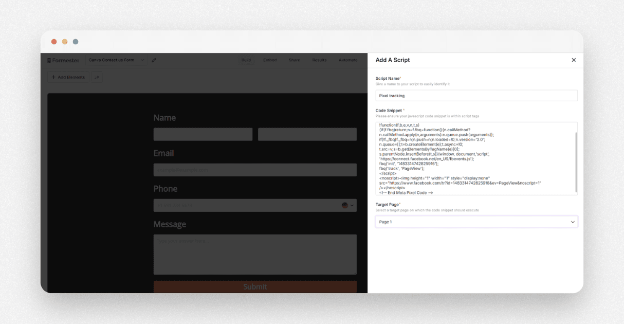 a screenshot of formester's custom script tab
